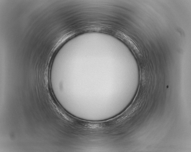 X0000115790794200912111147