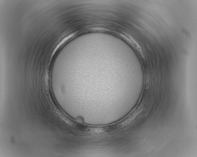 X0000115790798200912111147