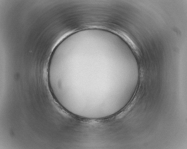 X0000115790814200912111147