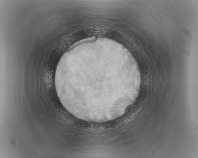 X0000115790818200912111146
