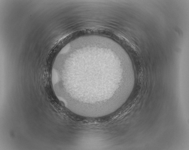 X0000115790822200912111146