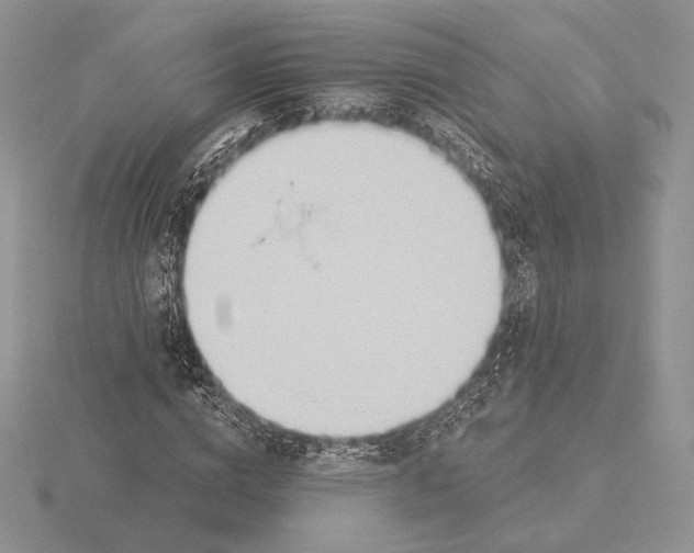 X0000115790824200912111146