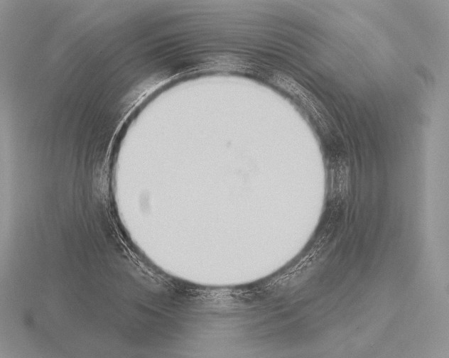 X0000115790828200912111146