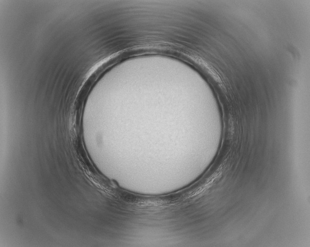 X0000115790830200912111146