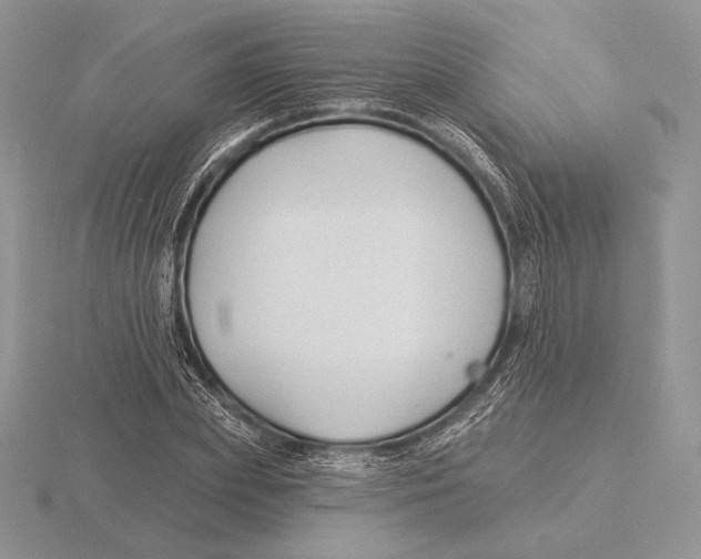 X0000115790831200912111146