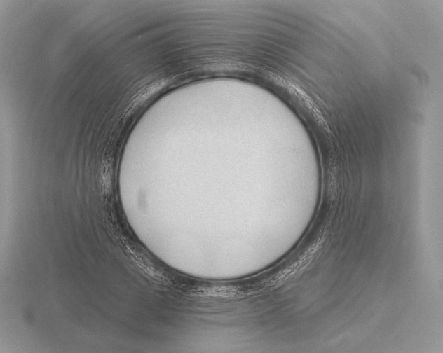 X0000115790833200912111146