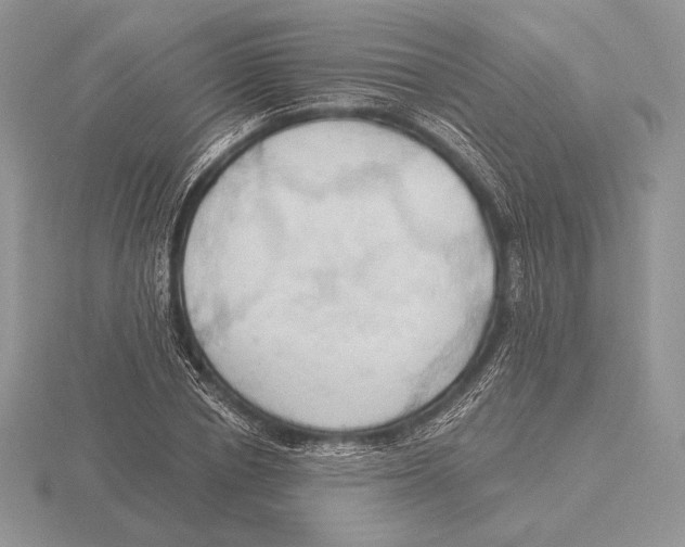 X0000115790834200912111146