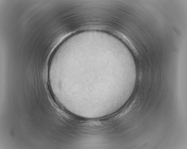 X0000115790844200912111146