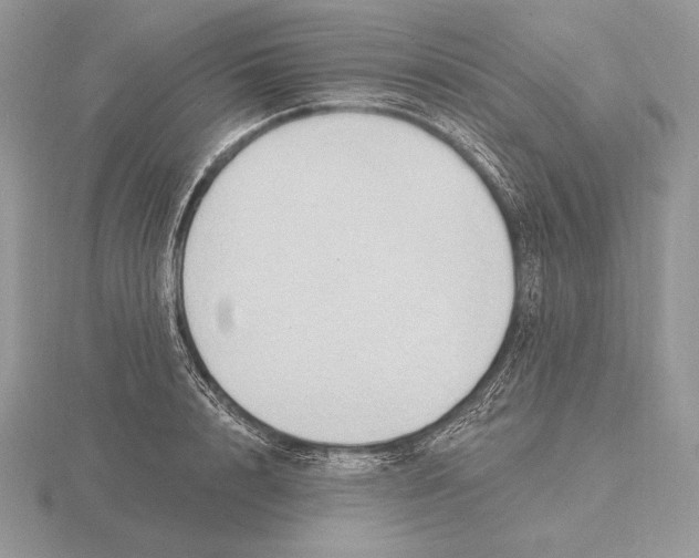 X0000115790848200912111146