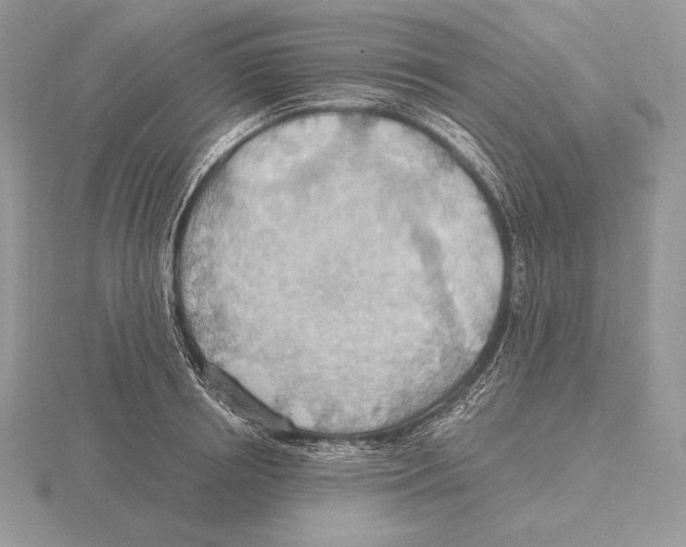 X0000115790850200912111146