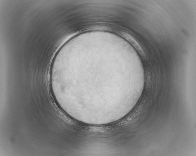 X0000115790852200912111146