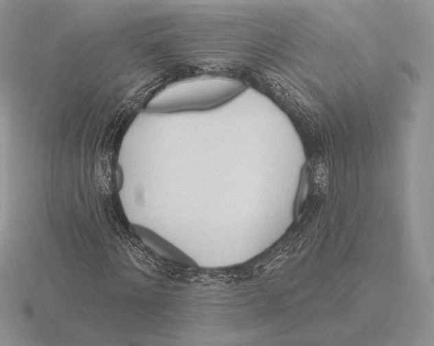 X0000115790868200912111146