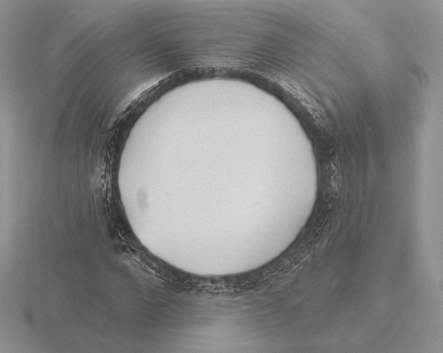 X0000115790872200912111146