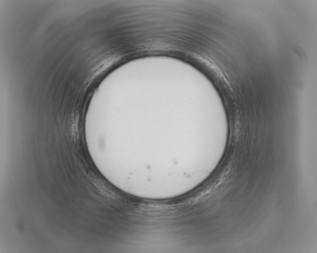 X0000115790873200912111146