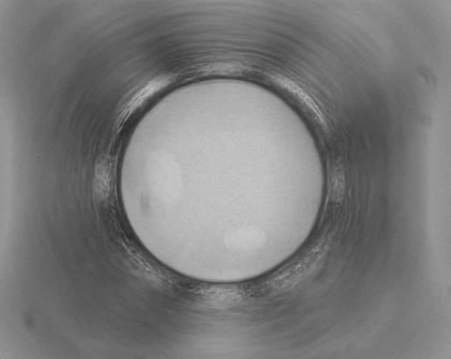 X0000115790874200912111146