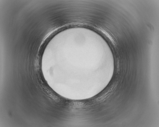 X0000115790878200912111146