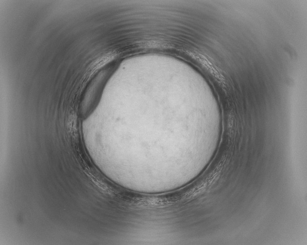 X0000115790881200912111146