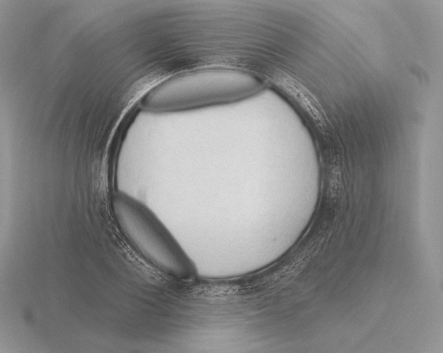 X0000115790884200912111146