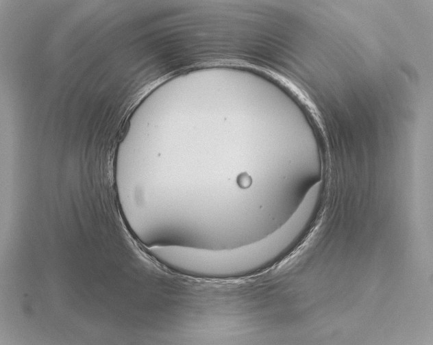 X0000115790905200912111145