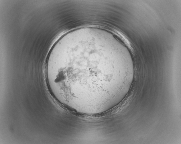 X0000115790907200912111145