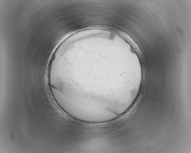 X0000115790908200912111145