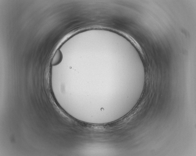 X0000115790911200912111145