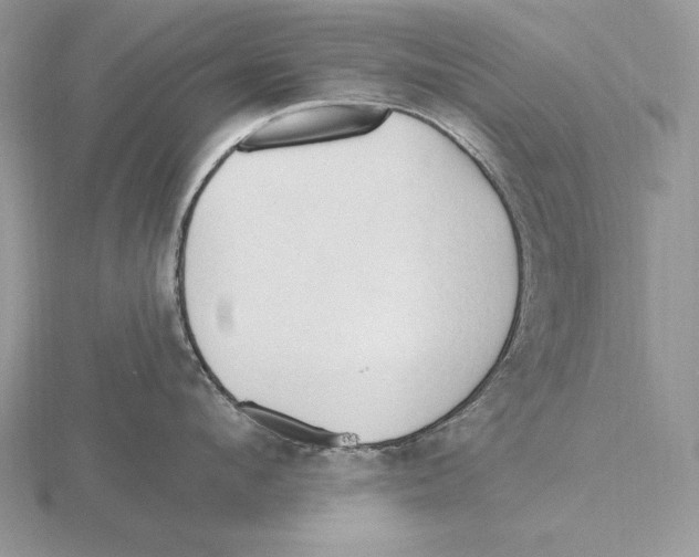 X0000115790912200912111145