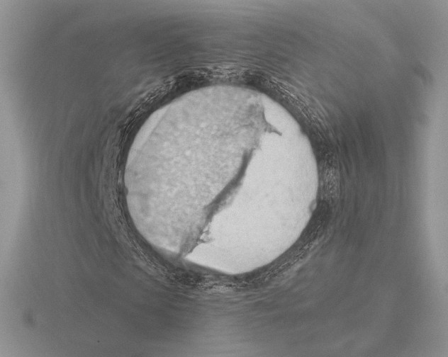 X0000115790913200912111145