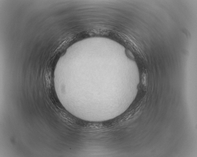 X0000115790915200912111145