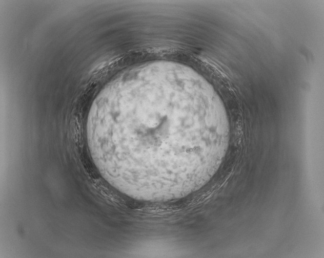 X0000115790917200912111145