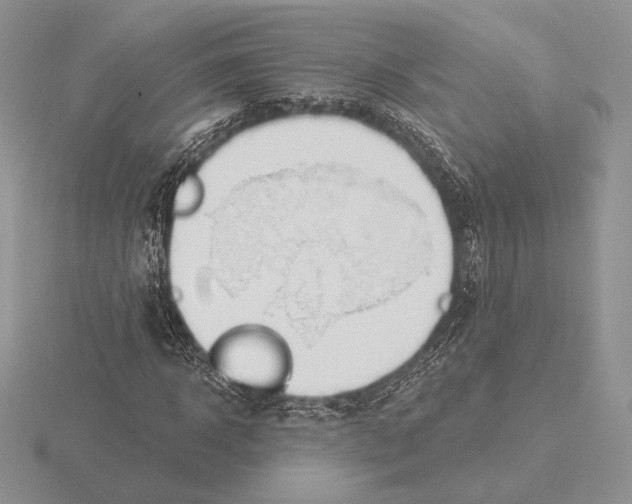 X0000115790918200912111145