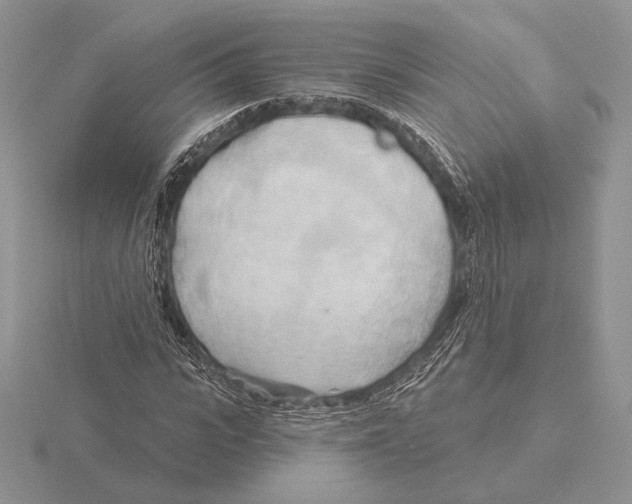 X0000115790919200912111145