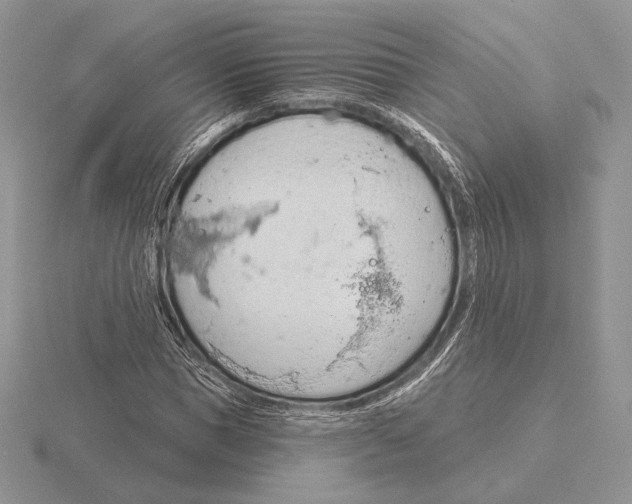 X0000115790921200912111145