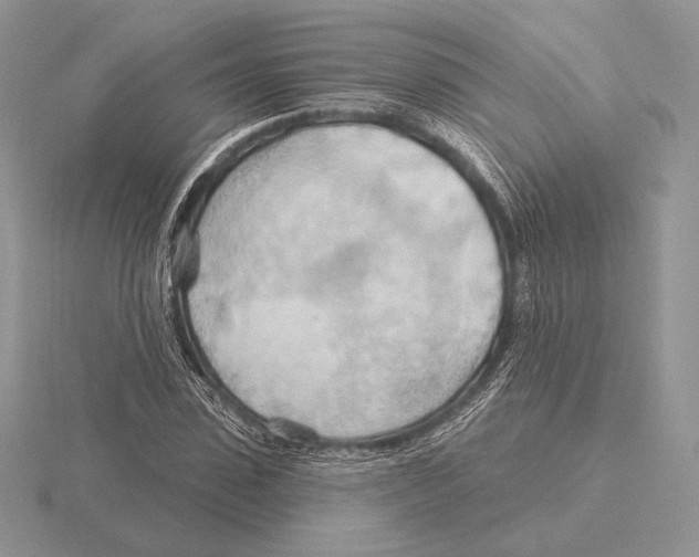 X0000115790923200912111145