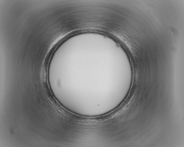 X0000115790925200912111145