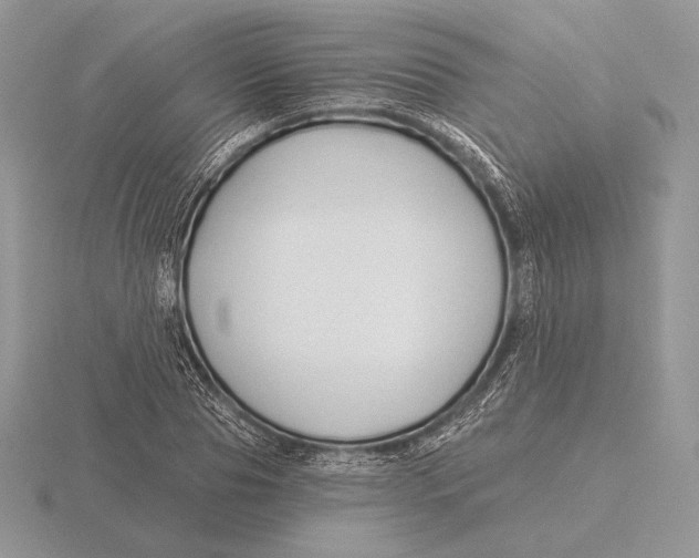 X0000115790929200912111145