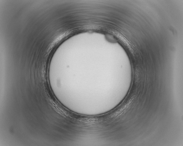 X0000115790930200912111145