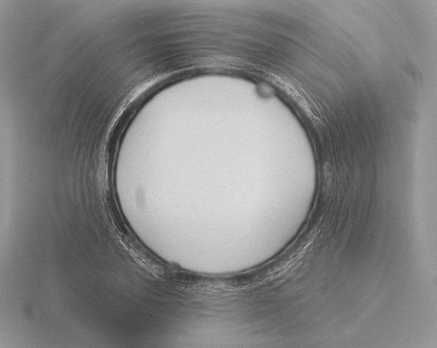 X0000115790931200912111145