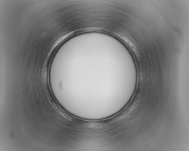 X0000115790933200912111145