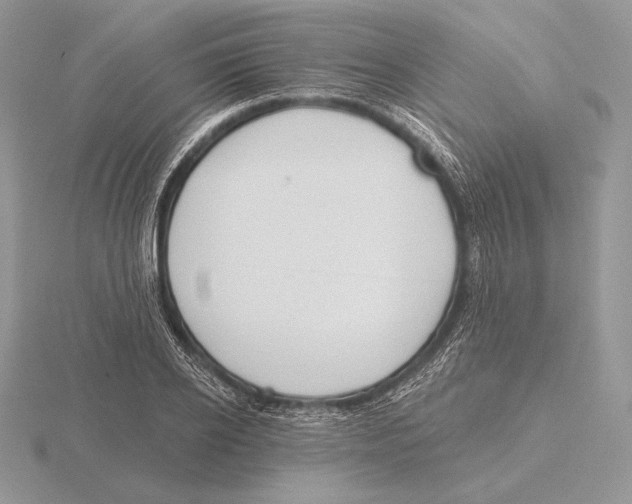 X0000115790934200912111145