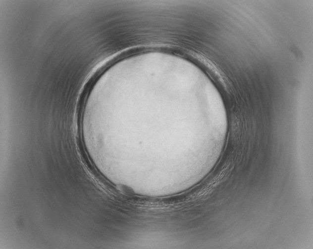 X0000115790935200912111145