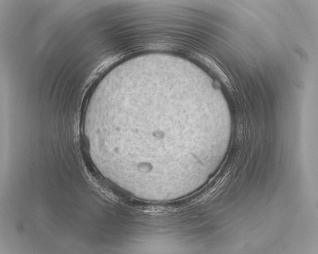 X0000115790938200912111145