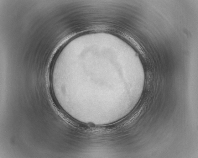 X0000115790939200912111145