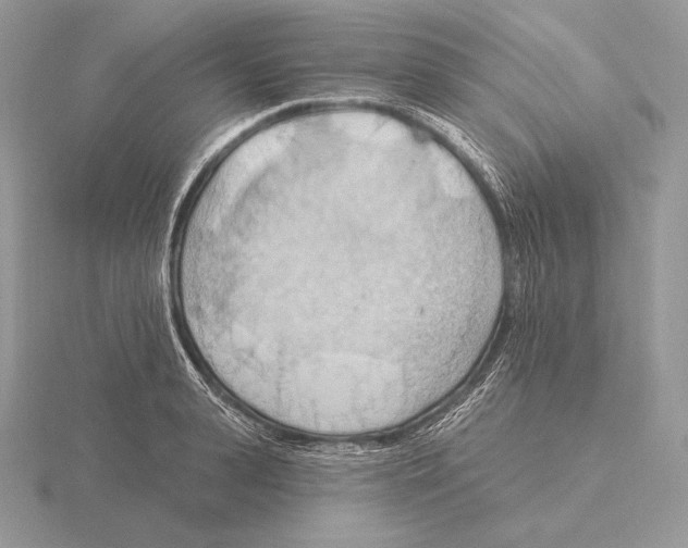 X0000115790943200912111145