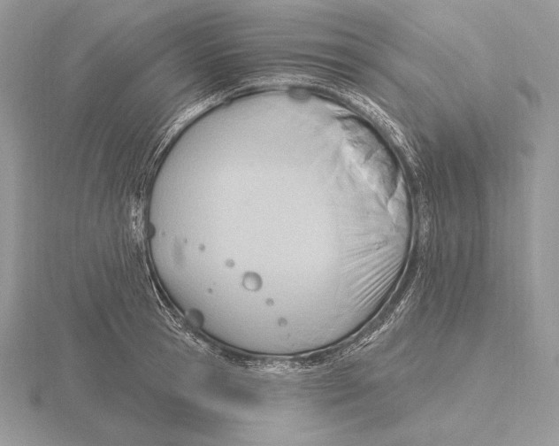 X0000115790945200912111145