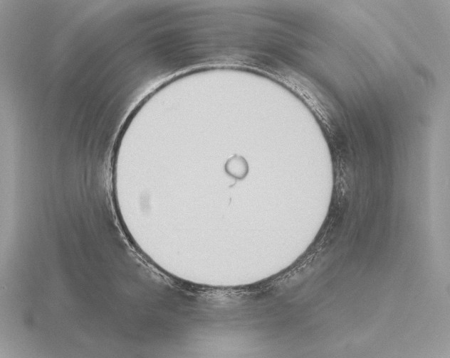 X0000115790950200912111145