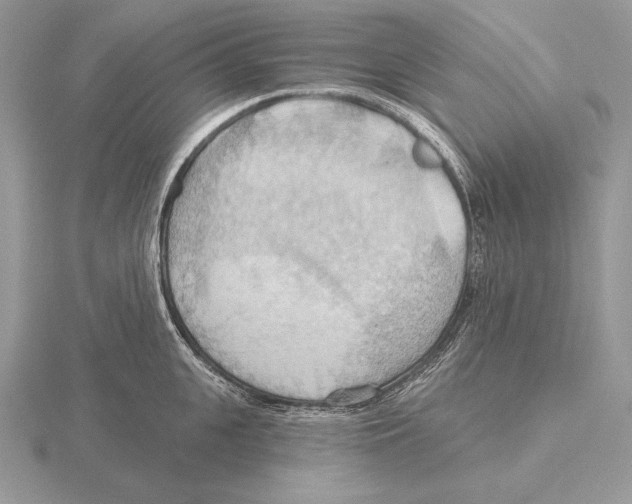 X0000115790951200912111145