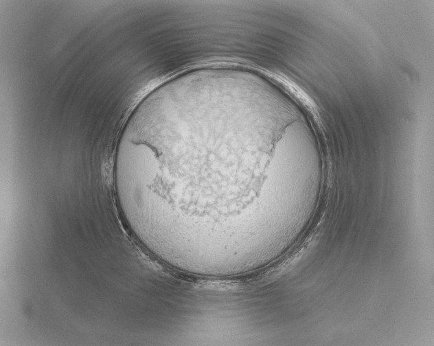 X0000115790953200912111145