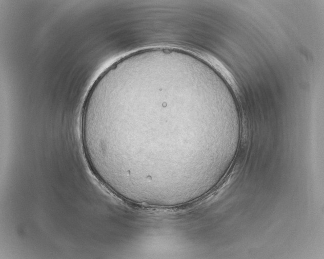 X0000115790958200912111145