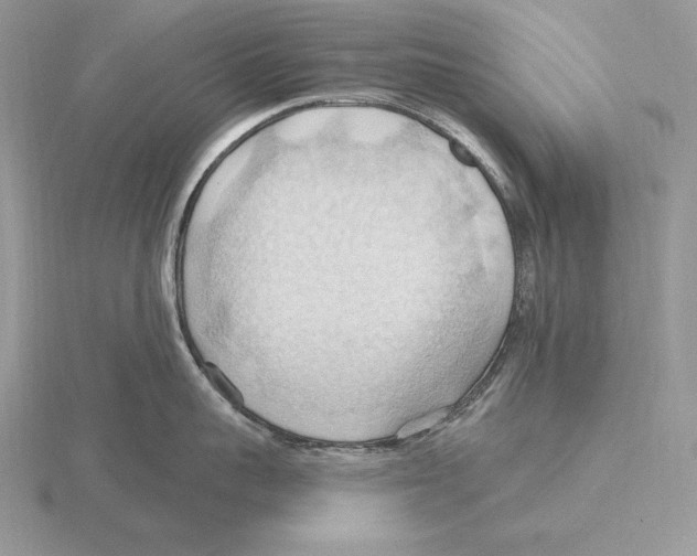 X0000115790959200912111145